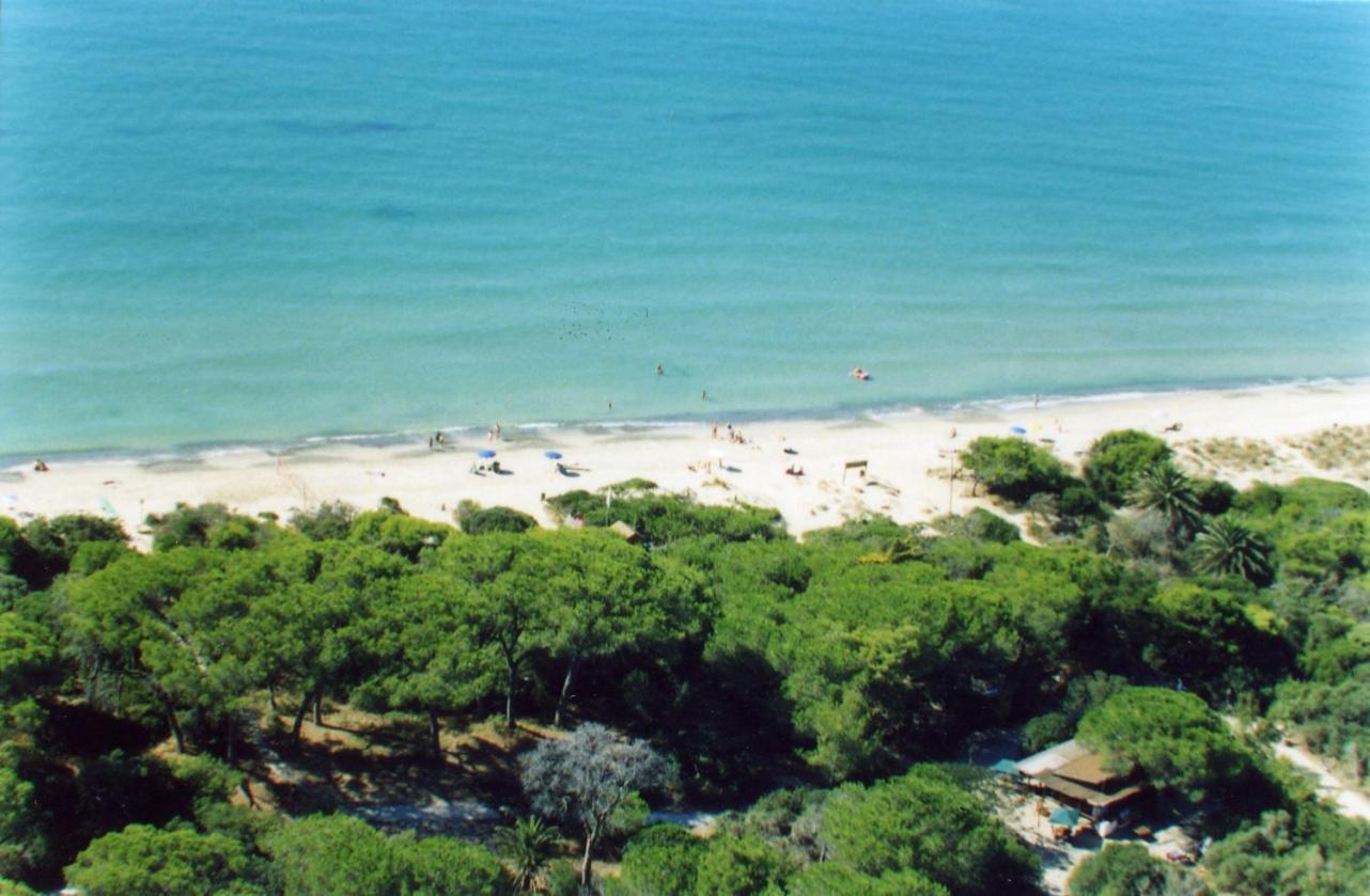 Villaggio Turistico Airone Riotorto Zewnętrze zdjęcie